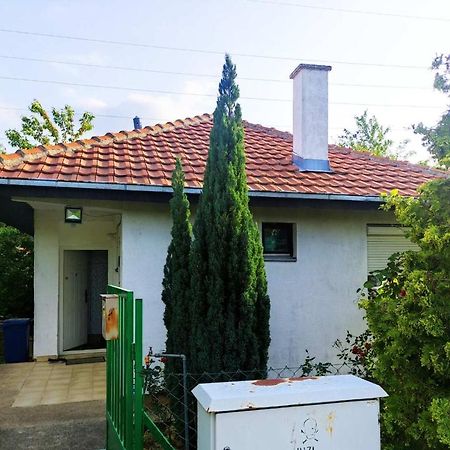 Cozy House Cvetkovic Villa Ni Exteriör bild