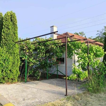 Cozy House Cvetkovic Villa Ni Exteriör bild