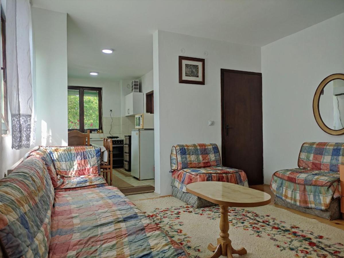 Cozy House Cvetkovic Villa Ni Exteriör bild