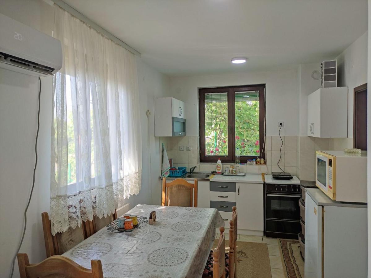 Cozy House Cvetkovic Villa Ni Exteriör bild